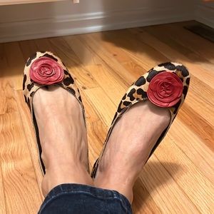 WANTED TO BUY: Carlos Santana exotica leopard ballet flats, not baby pup chewed